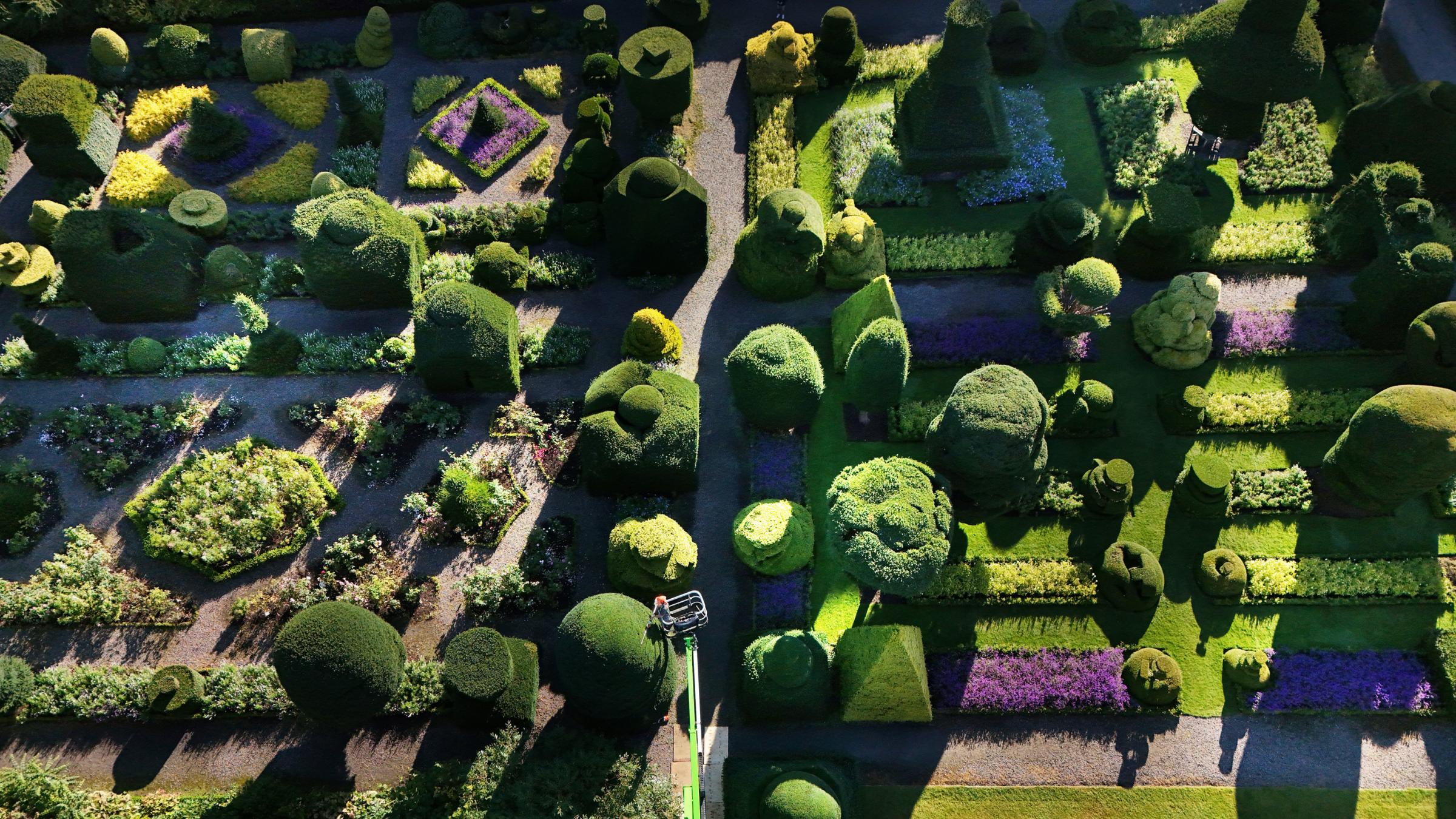 The trimming of the worlds oldest topiary gets underway at Levens Hall in Kendal, Cumbria. Head gardener for 38 years Chris Crowder 61, starts the trimming using a cherry picker which will take 2 months to complete. Levens Hall, a privately-owned house